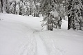 Dewey Point Meadow Trail