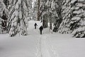 Dewey Point Meadow Trail