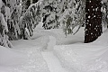 Dewey Point Meadow Trail