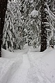 Dewey Point Meadow Trail