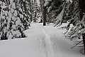 Dewey Point Ridge Trail