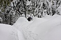 Dewey Point Ridge Trail