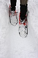 Diane's snowshoes