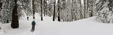 Dewey Point Ridge Trail