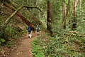 Josh and Diane hike the Skyline-to-the-Sea Trail