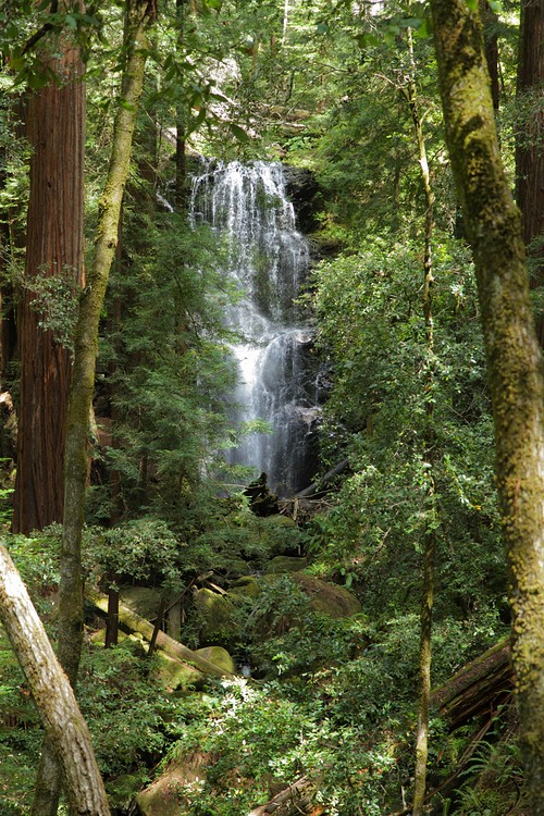 Berry Creek Fall
