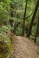 Big Basin