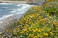 Pescadero State Beach