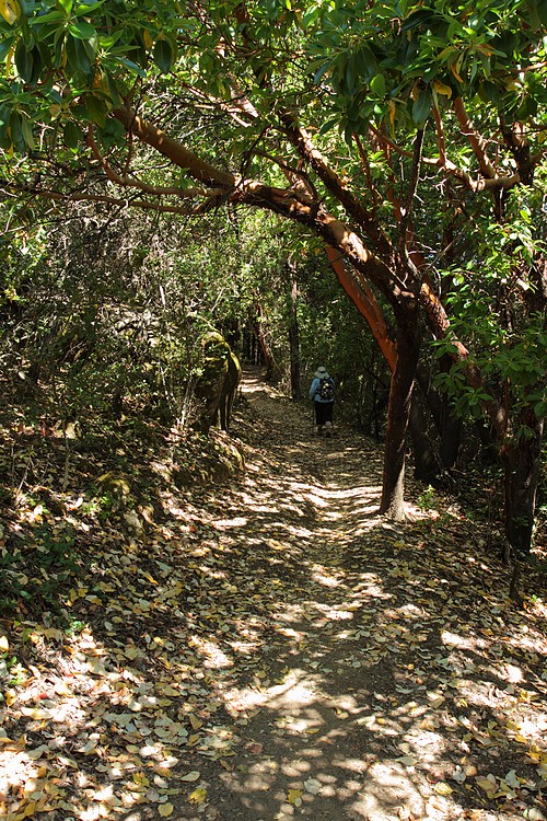 Crystal Springs Trail