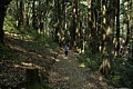 Diane on the Skyline Trail