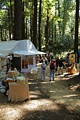 Kings Mountain Art Fair