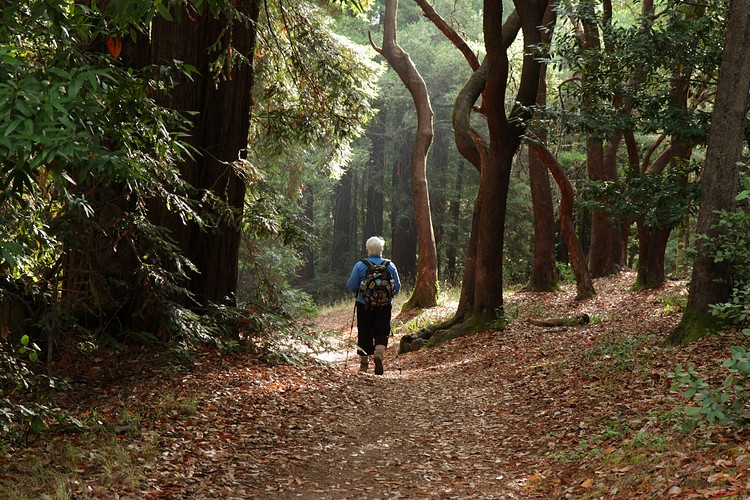 Diane starts on the Dean Trail