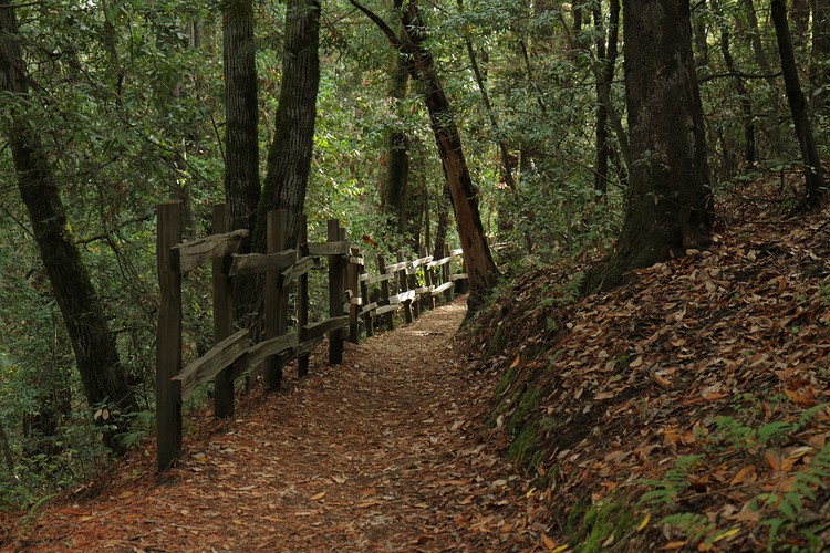 Crystal Springs Trail