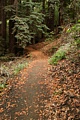 Crystal Springs Trail