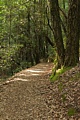 Crystal Springs Trail