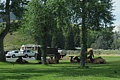 Elk resting at Mammoth Village