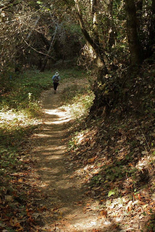Diane hikes the Canyon Trail