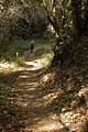 Diane hikes the Canyon Trail