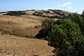 Monte Bello Open Space Preserve - October 2, 2011