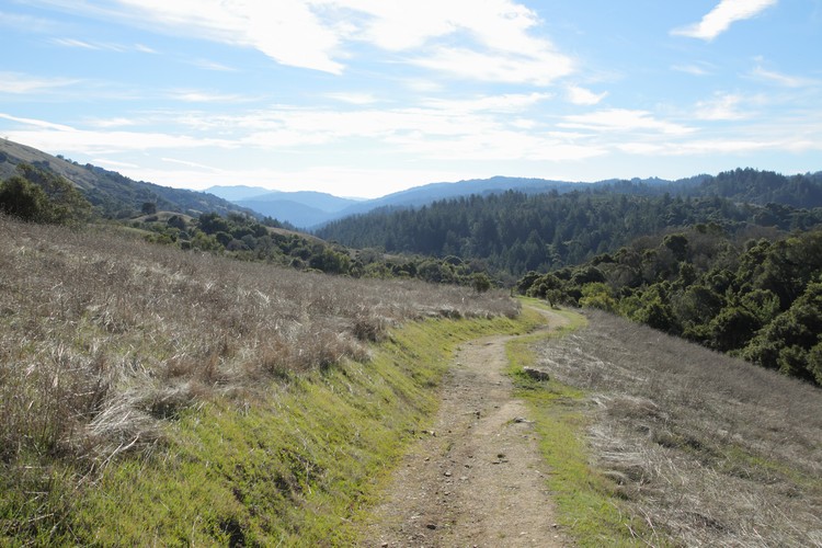 Canyon Trail