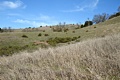 Montebello Open Space Preserve