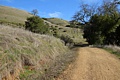 Canyon Trail