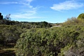 Montebello Open Space Preserve