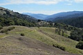 Monte Bello Open Space Preserve - February 13, 2011