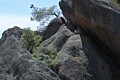 High Peaks Trail