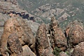 Pinnacles