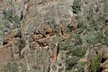 Pinnacles