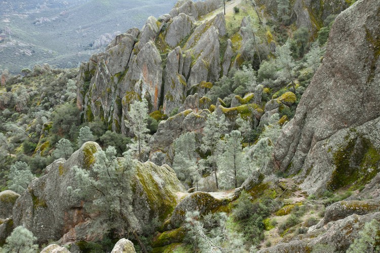 Pinnacles