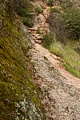 High Peaks Trail