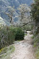 Condor Gulch Trail