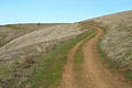 Bay Area Ridge Trail
