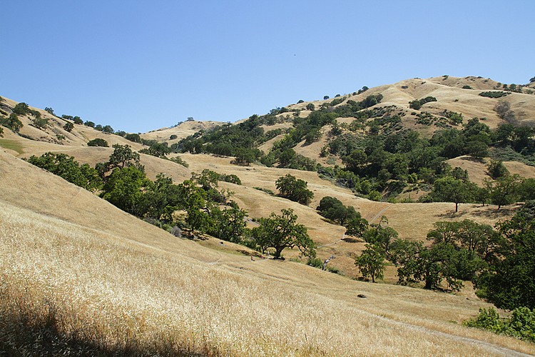 Sunol Hills