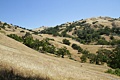 Sunol Hills