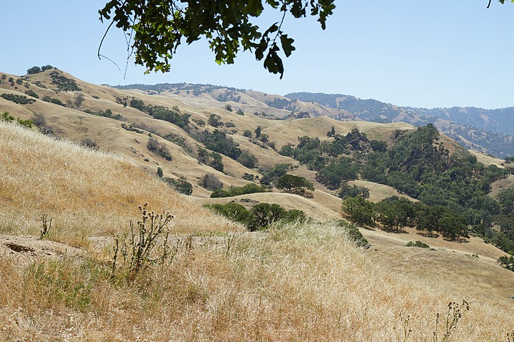 Sunol Hills