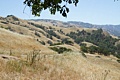 Sunol Hills