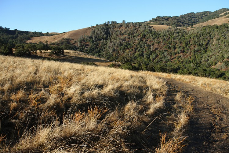 Sunol Regional Park