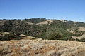 Sunol Regional Park