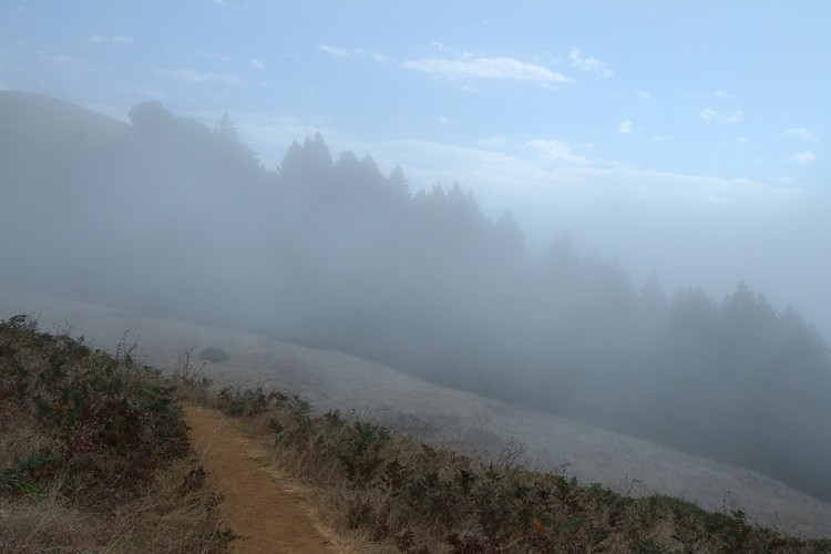 Matt Davis Trail - almost above the fog