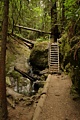 Ladder on Steep Ravine Trail