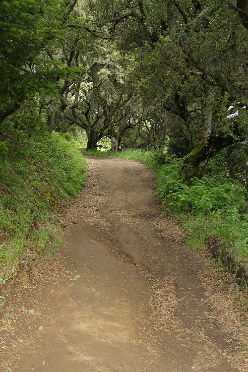 Spring Ridge Trail