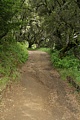 Spring Ridge Trail