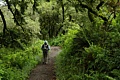 Hamms Gulch Trail