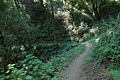 Hamms Gulch Trail