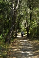 Hamms Gulch Trail