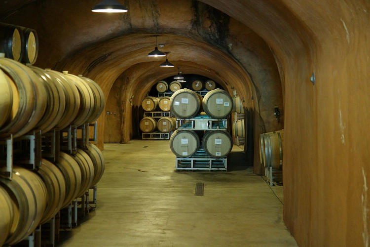 Benzinger cellar