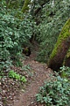 Bear Gulch Trail